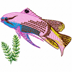 Fishes Embroidery Design 7 Fishes Embroidery Design 7